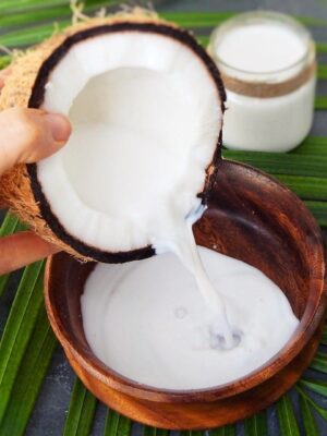 Premium Fresh-Pressed Coconut Milk – 100% Natural, Thick & Chemical-Free